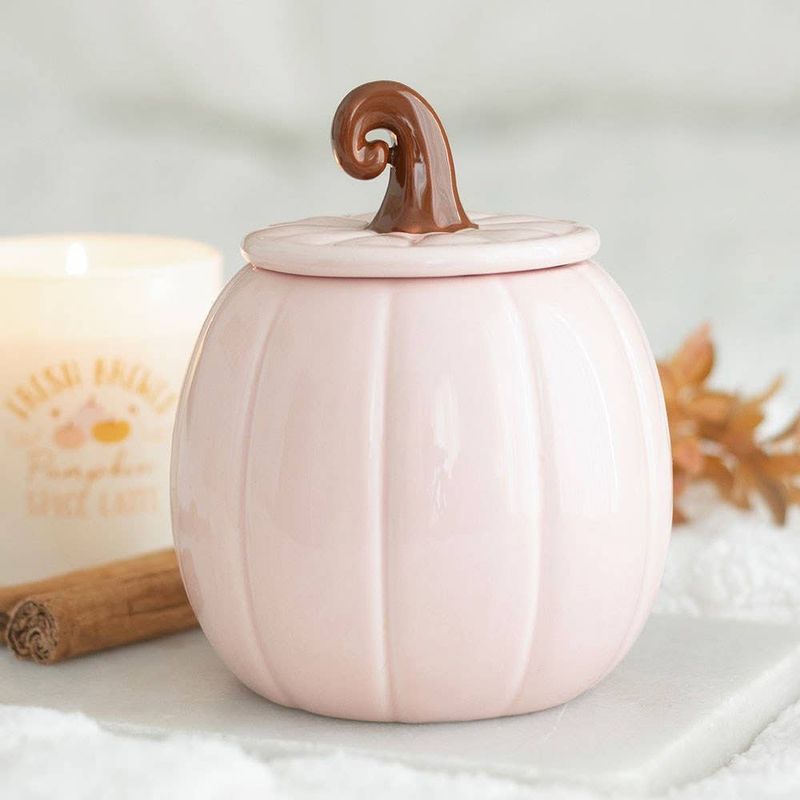 Pink Curly Pumpkin Autumn Oil Burner