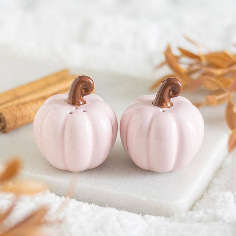 Pink Curly Pumpkin Autumn Salt and Pepper Shakers