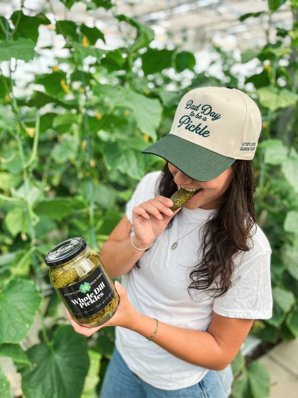 Bad Day to be a Pickle Hat