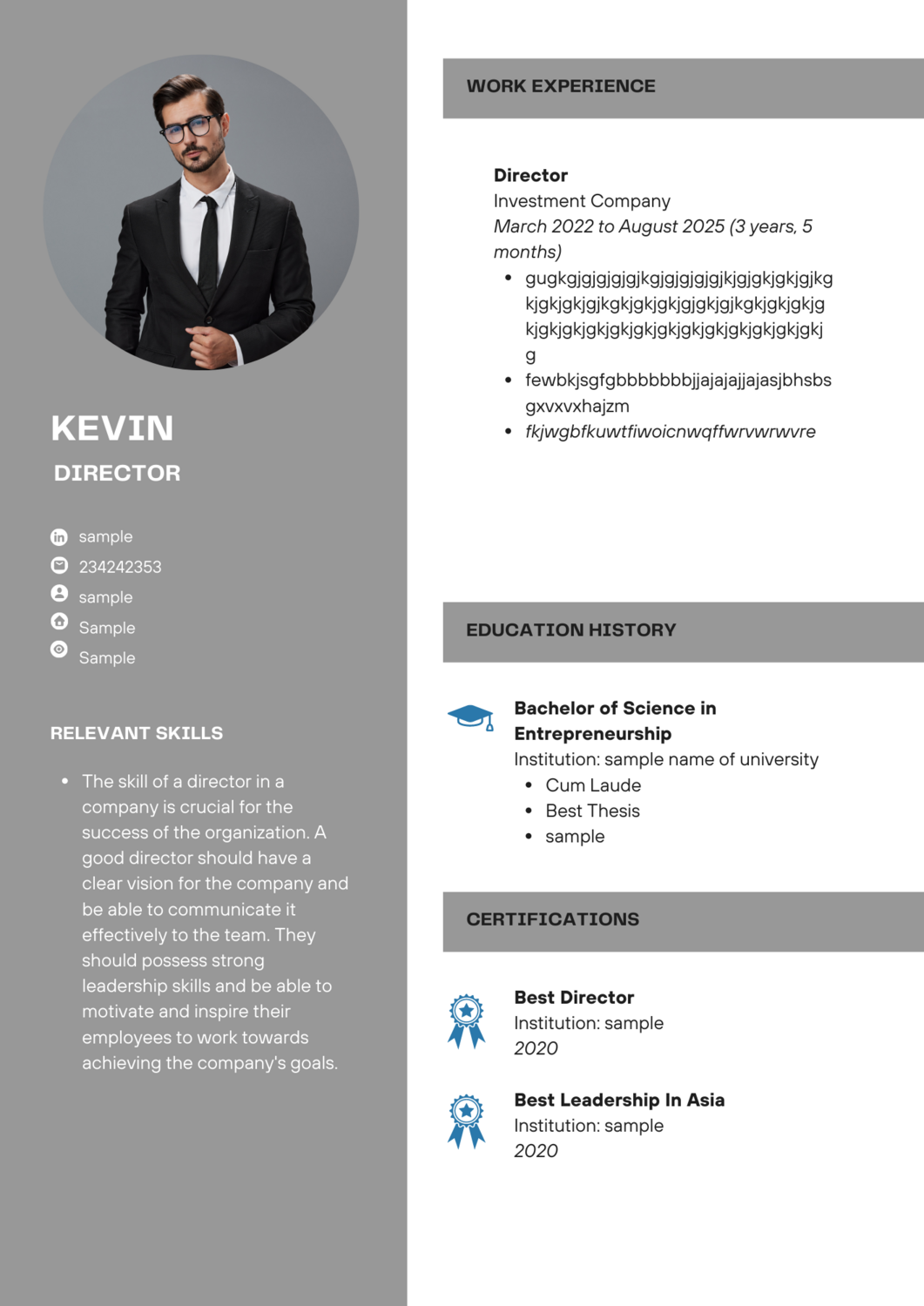 Professional Resume