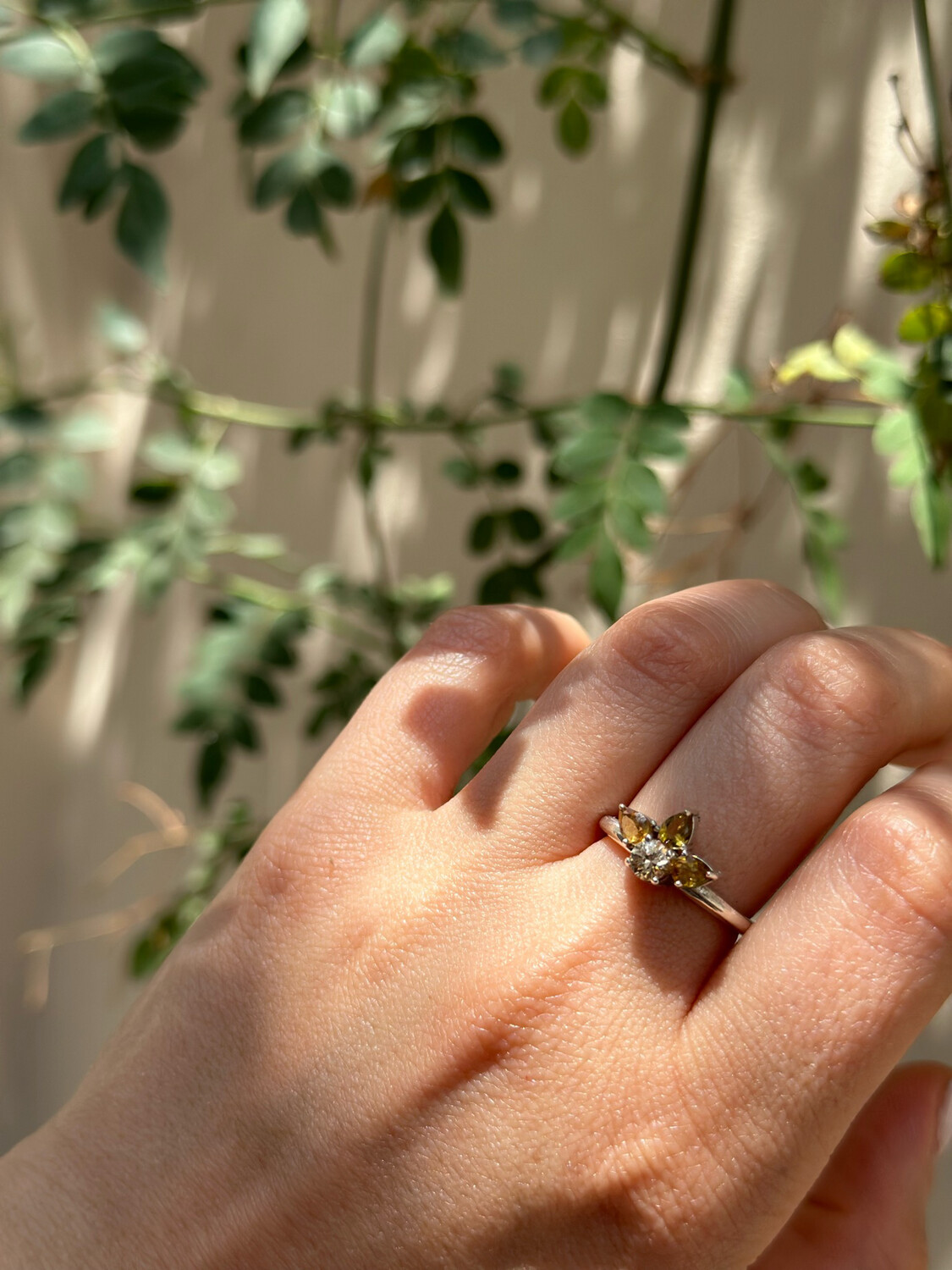 Anillo sol