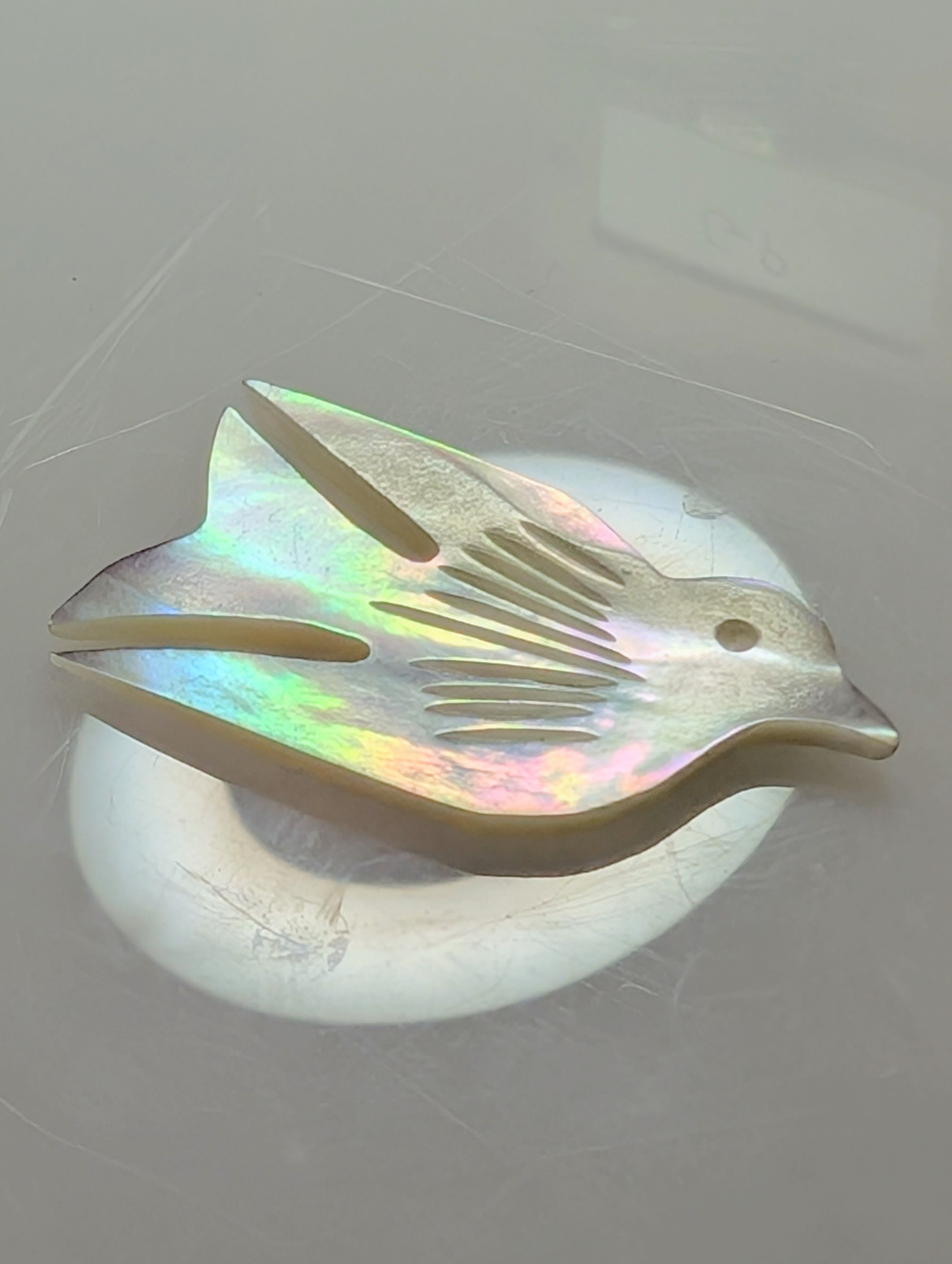 Mother of Pearl Dove