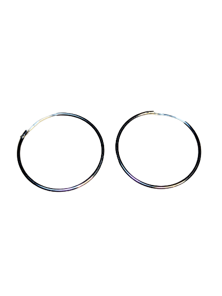 Sterling Silver Hinged Hoop Earrings