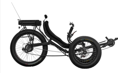 Recumbent FT