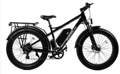 Big Tire 60V Lithium Ebike