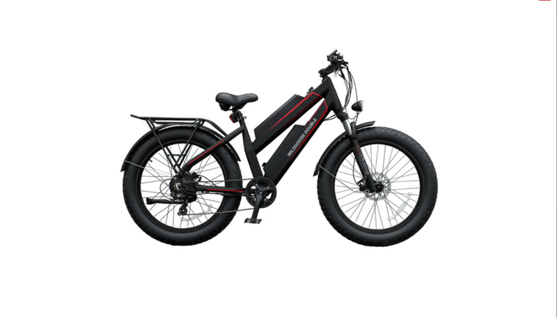 The Double Battery - Ebike