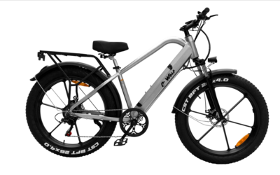 EBike-Called the Wolf