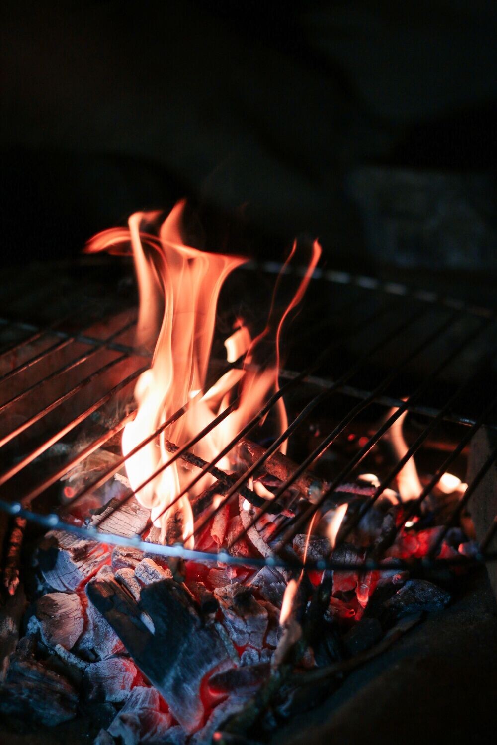 BBQ volwassenen