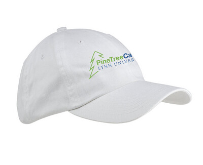 Pine Tree Camps youth hat