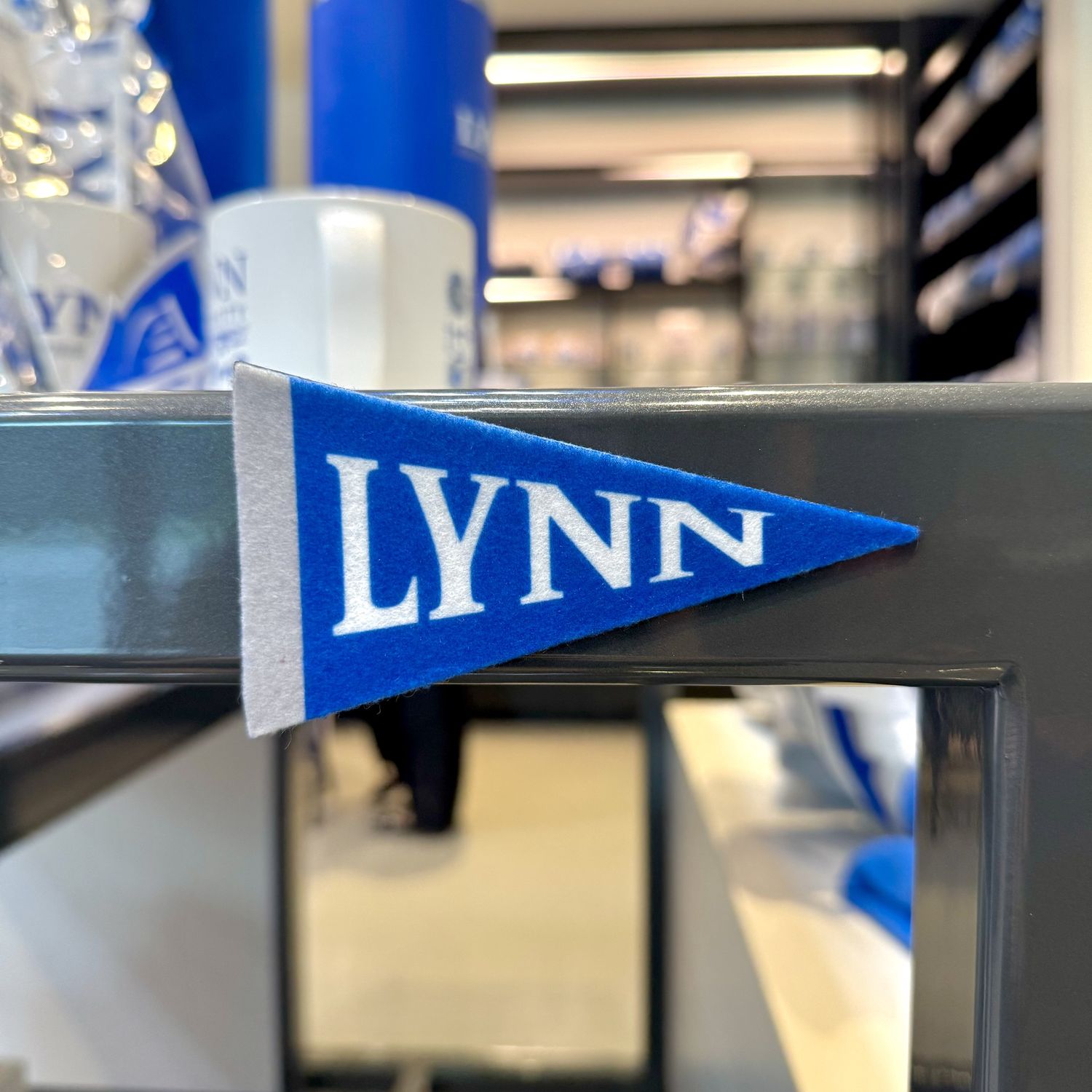 mini royal blue, gray and white pennant with text saying &quot;Lynn.&quot;