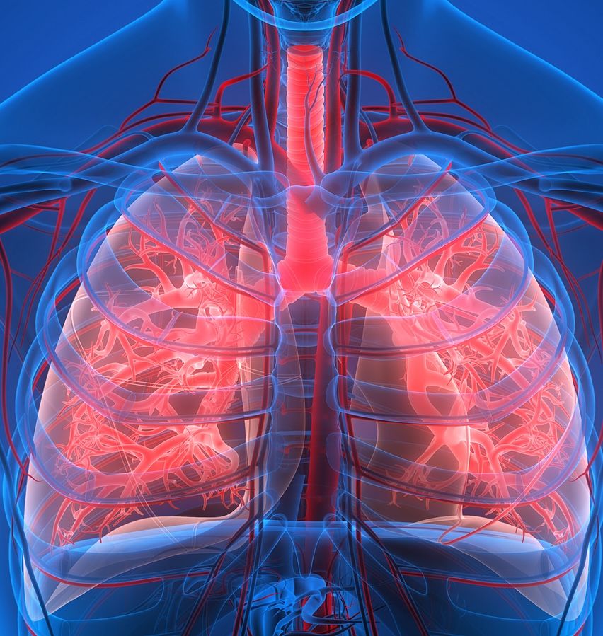 Care of the Client with COPD