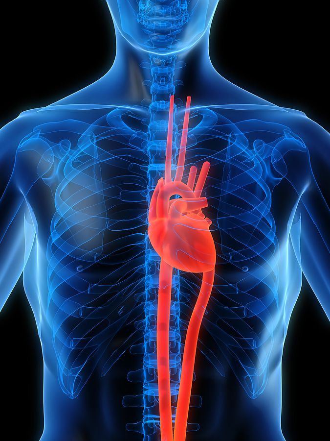 Care of the Client with Congestive Heart Failure