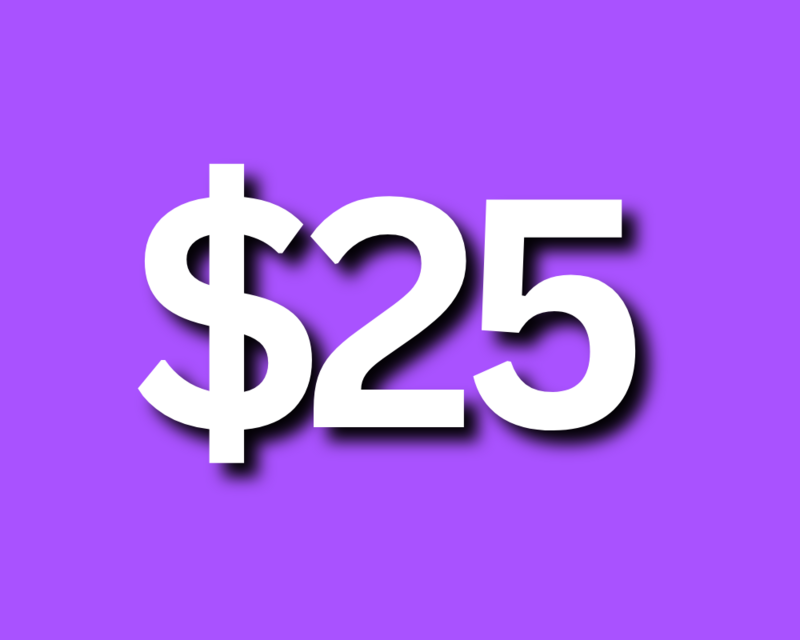 $25 Dance Scholarship Fund Donation