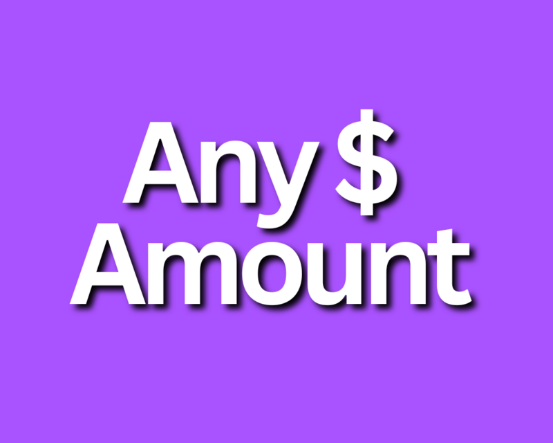 Any Amount Donation for the Dance Scholarship Fund