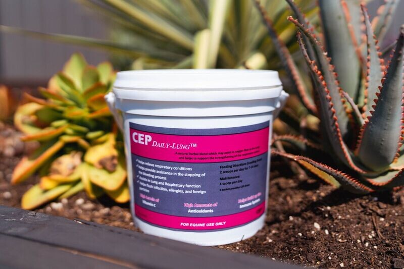 CEP Daily Lung