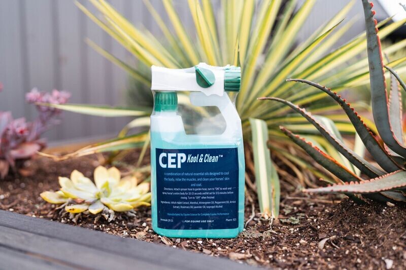 CEP Kool & Clean Sprayer