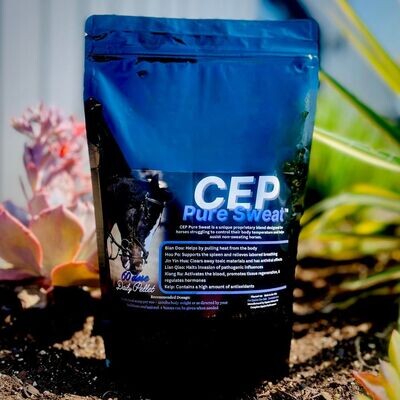 CEP Pure Sweat