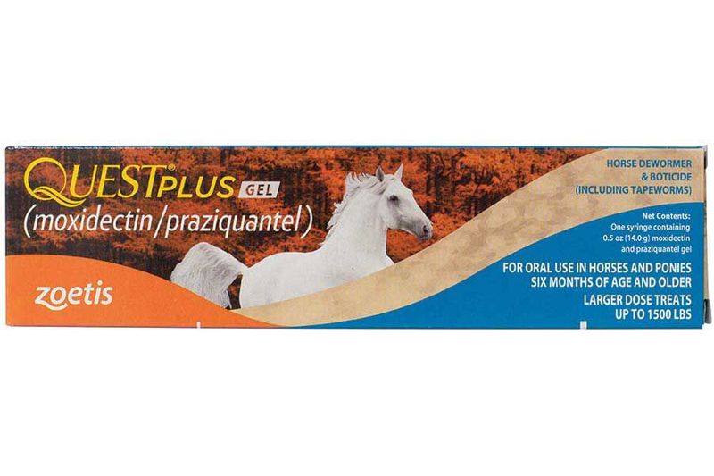 Quest Plus