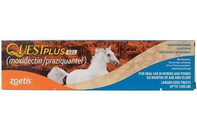 Quest Plus