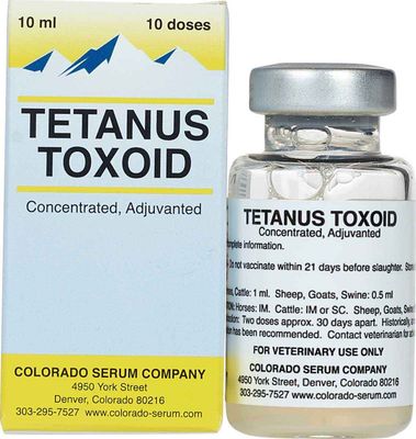 Tetanus (per dose)
