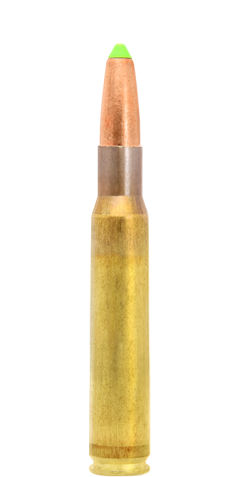 BULLETS LAPUA .30-06 SPRING. NATURALIS EXPANDING BULLET 11g/170gr N558