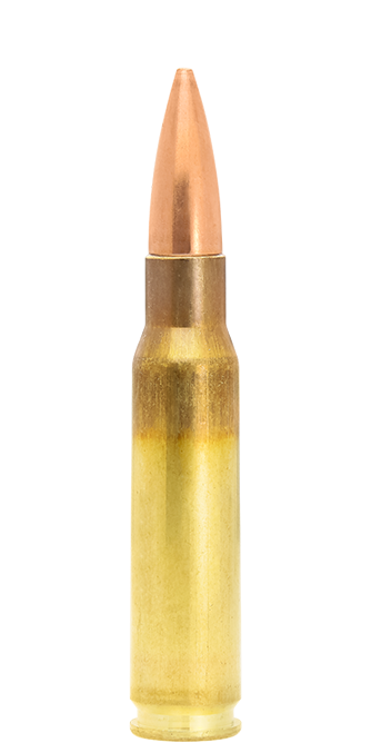 NABOJ LAPUA .308 WIN SCENAR-OTM 175 gr 50/1 GB550