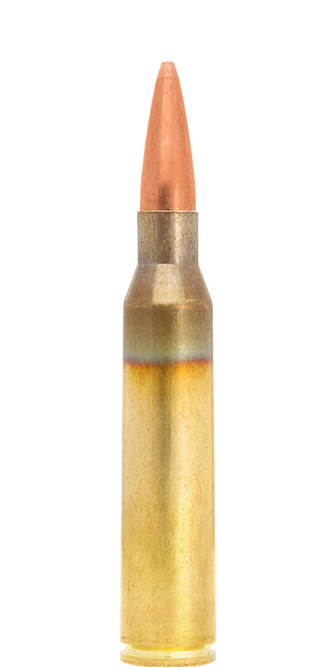 LAPUA .338 LM SCENAR OTM 19,4g/300gr GB528