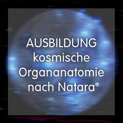 Beratungsgespräch für Ausbildung - kosmische Organanatomie nach Natara®