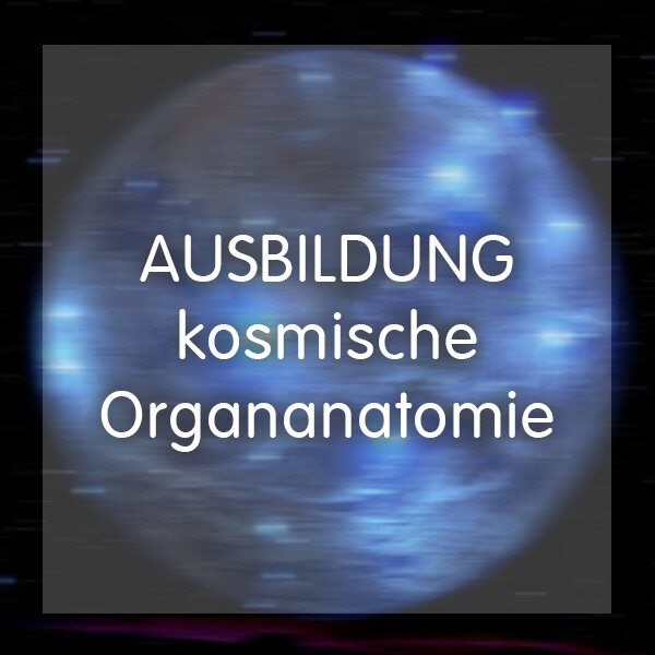Beratungsgespräch für Ausbildung - kosmische Organanatomie