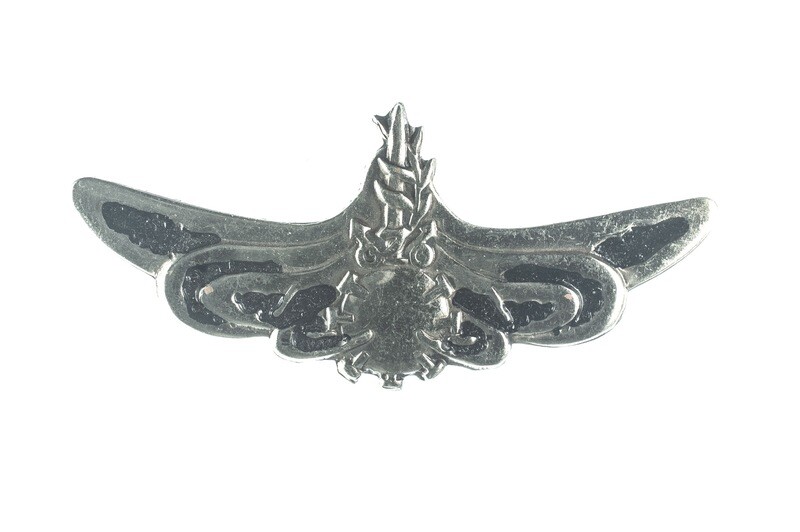 Sea Corps of Israel : Ḥeil HaYam HaYisraeli