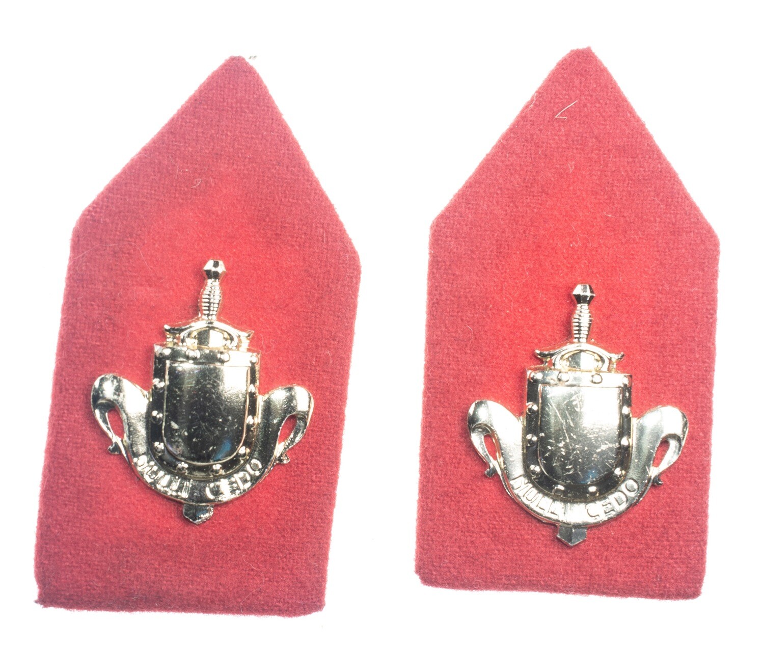 Netherlands Military Insignia: Infantry Reserve