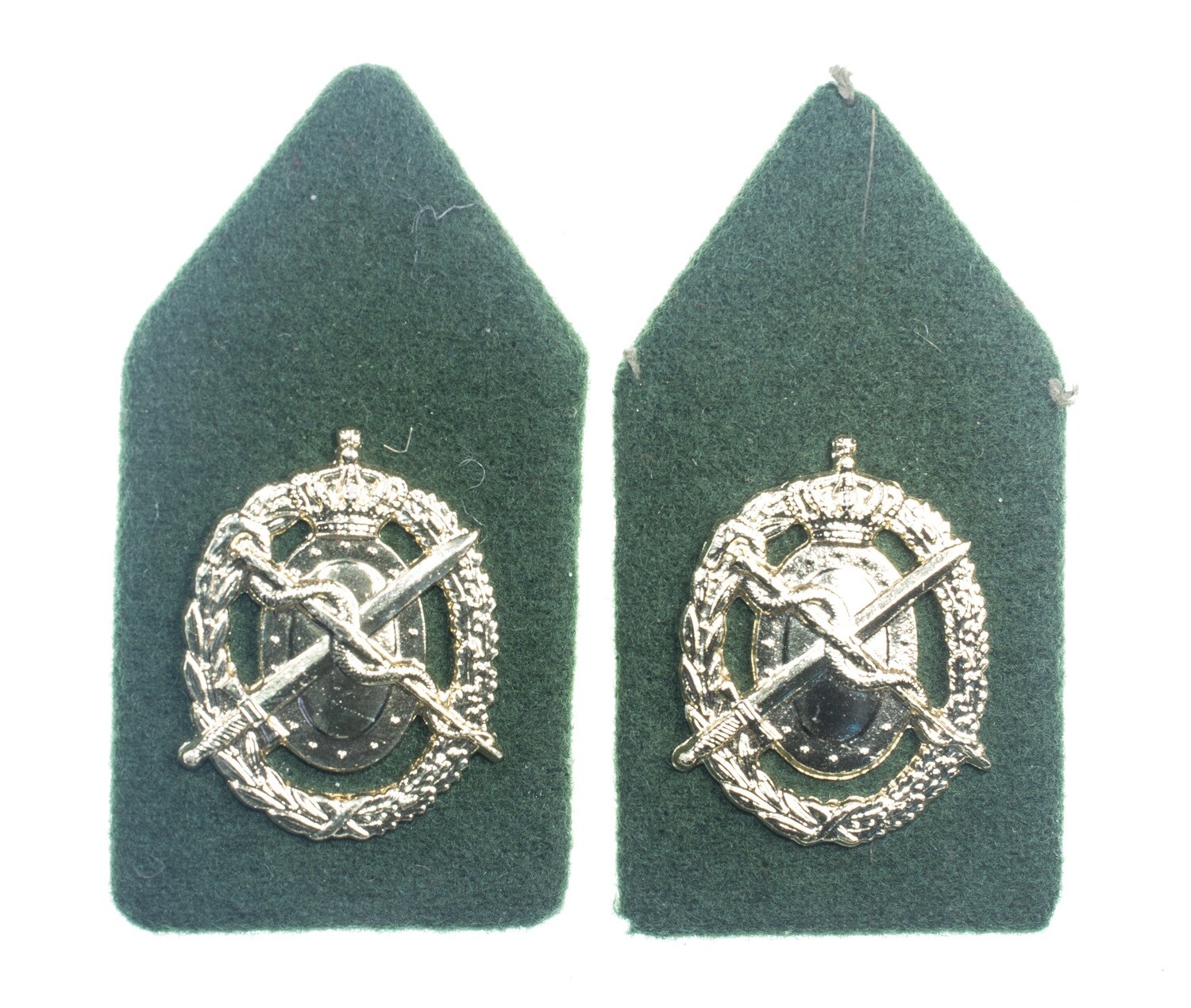 Regiment Geneeskundige Troepen