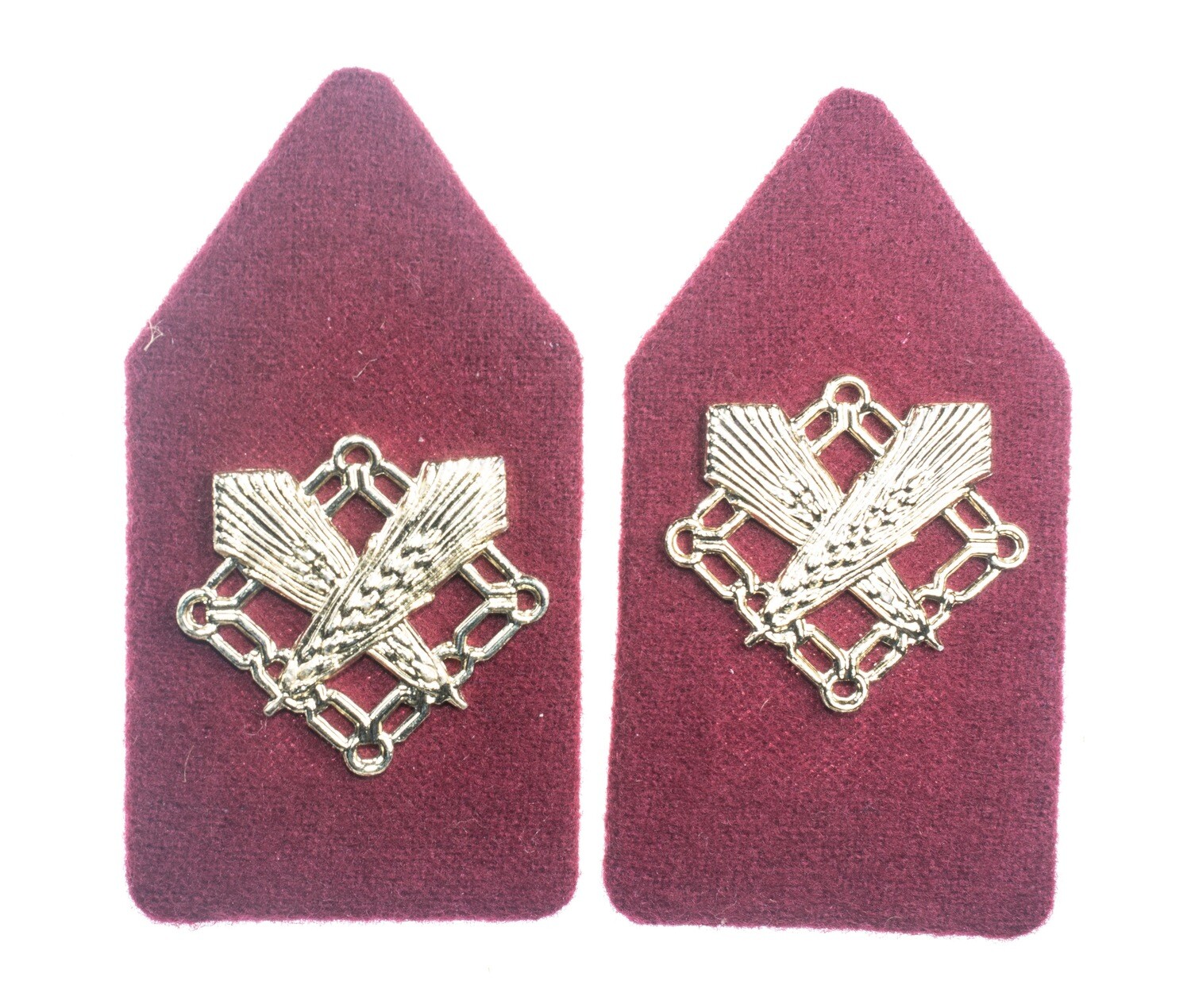 Netherlands Military Insignia: Intendance