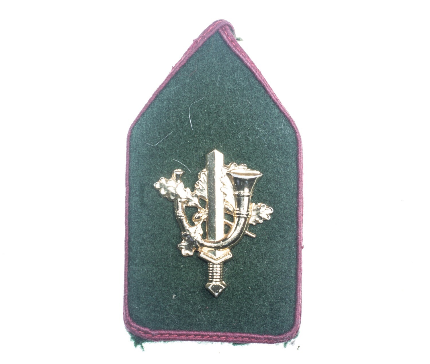 Regiment Limburgse Jagers