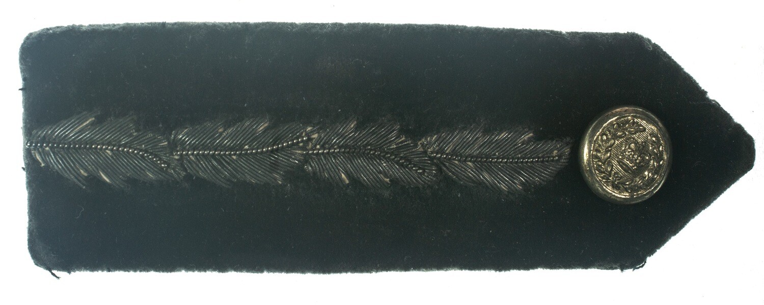 Chief Constable Lapel Insignia