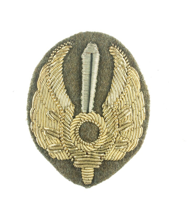 Italy - Air Assault Combat