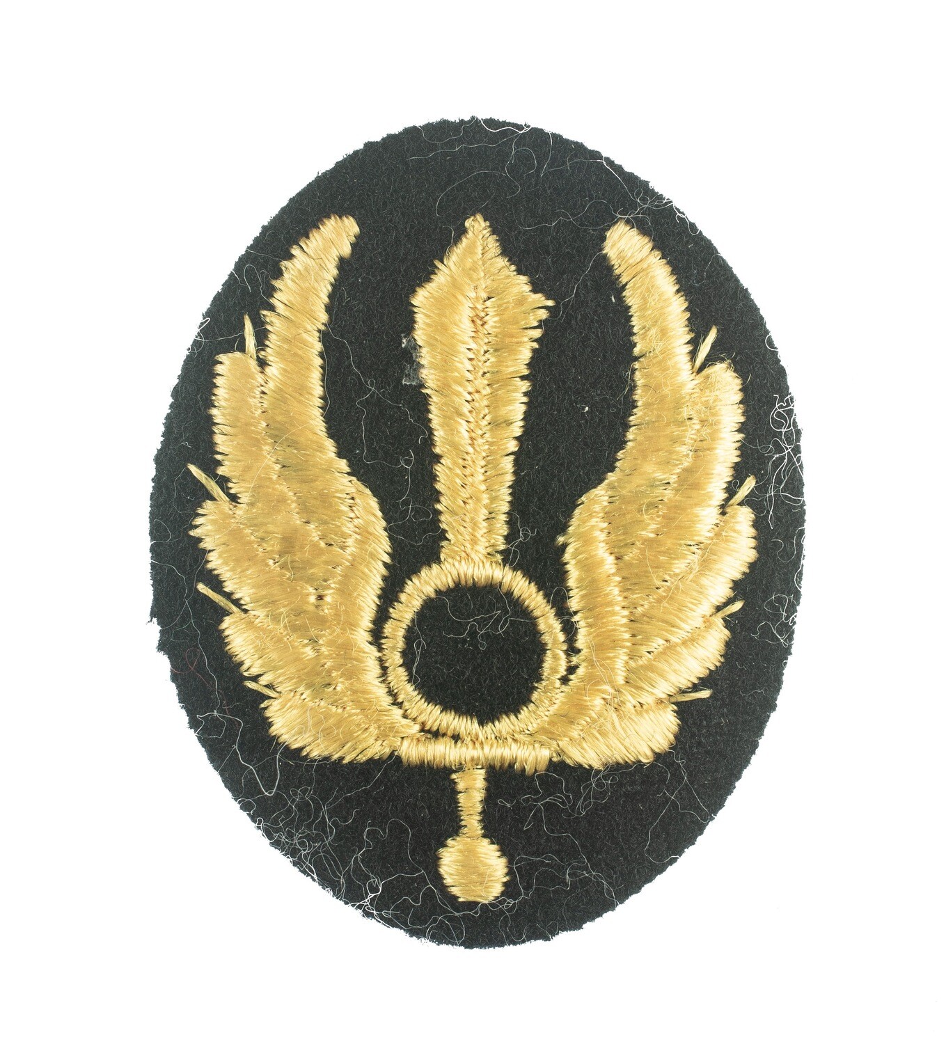 Italy - Air Assault Combat Badge
