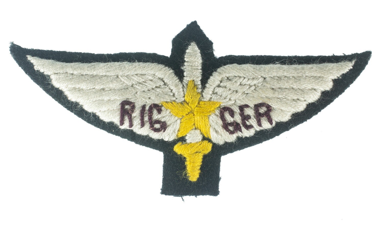 Pakistan Para Commando - Master Rigger Wings
