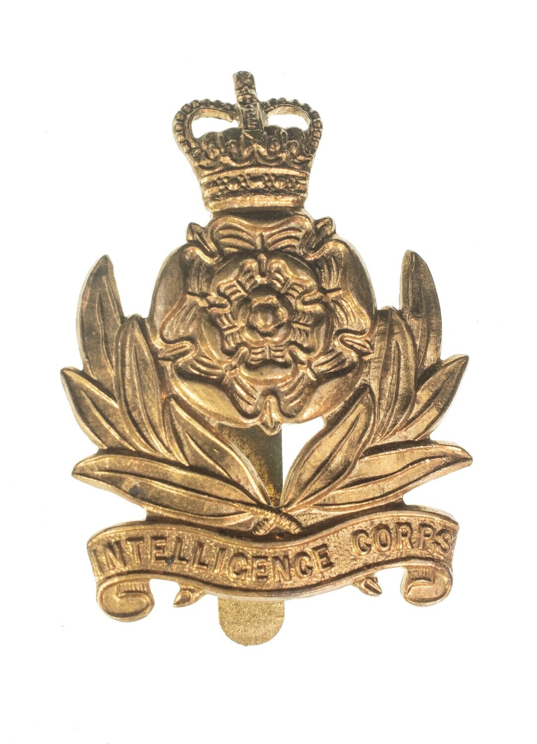 Army Intelligence Corps