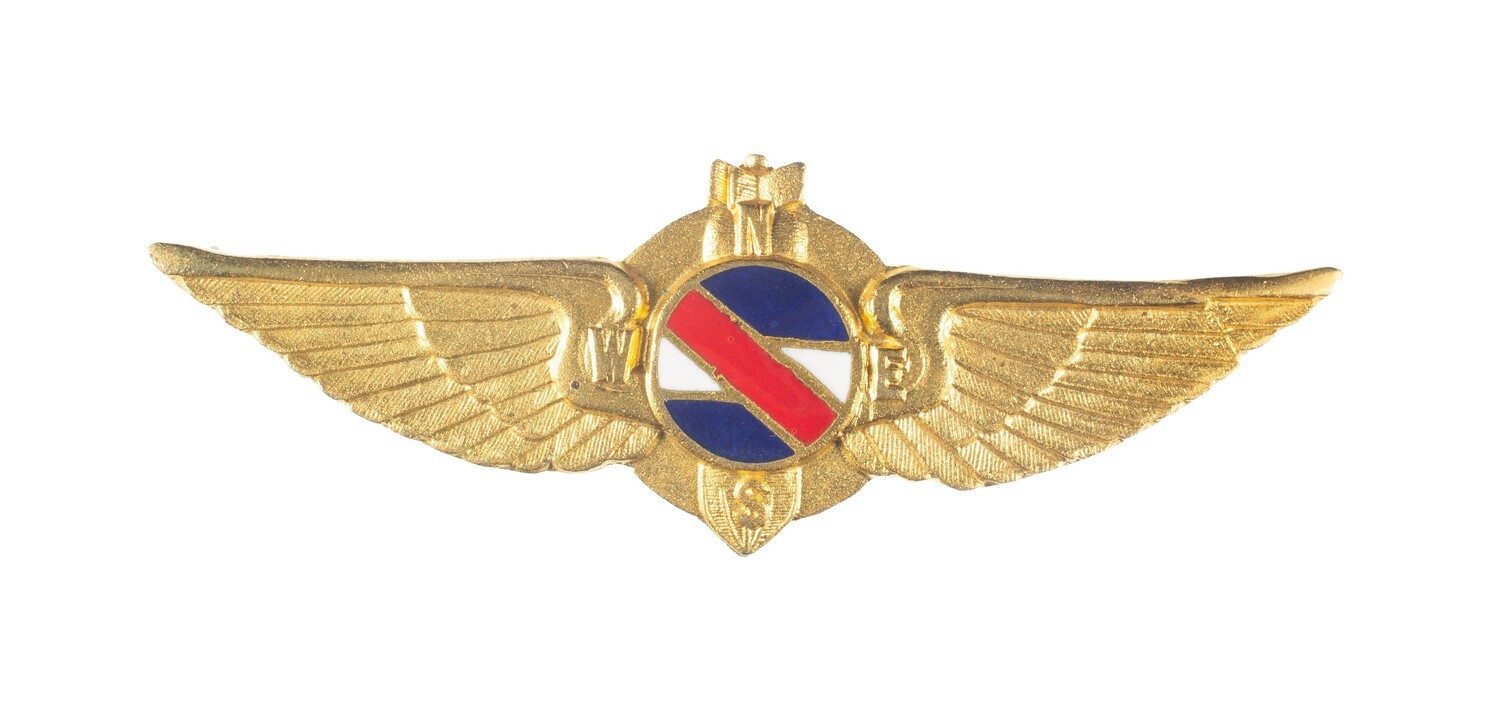Uruguay Air Force Navigator/Bombadier Wings