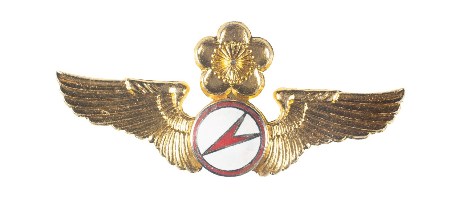 Taiwan Glider Pilot Wings