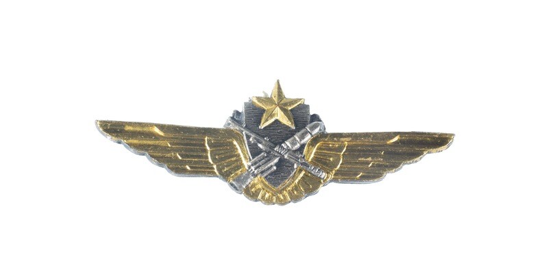 French Army Aviation Wings