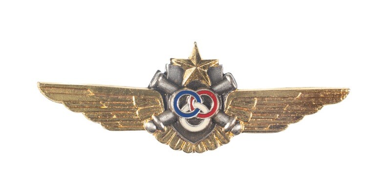 French Army Aviation Wings
