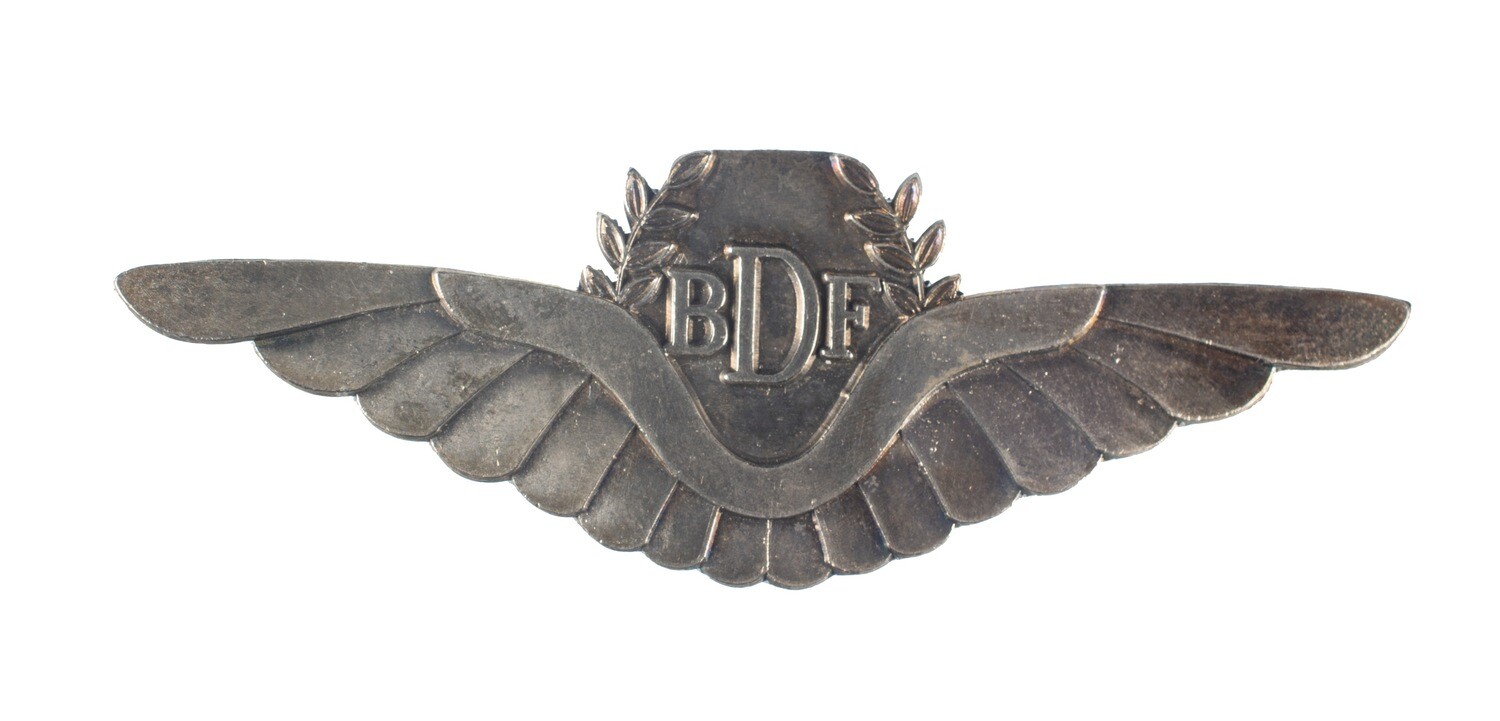 Botswana Pilot Wings