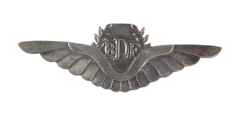 Botswana Pilot Wings