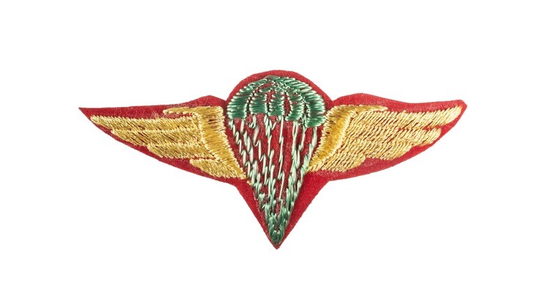 Syrian Paratrooper Wings