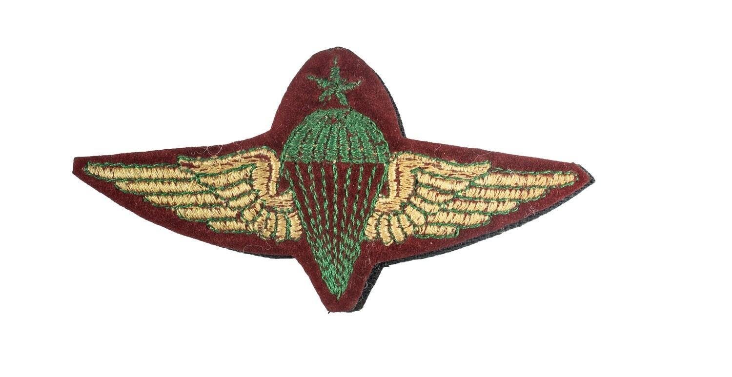 Syrian Senior Paratrooper Instructor Wings