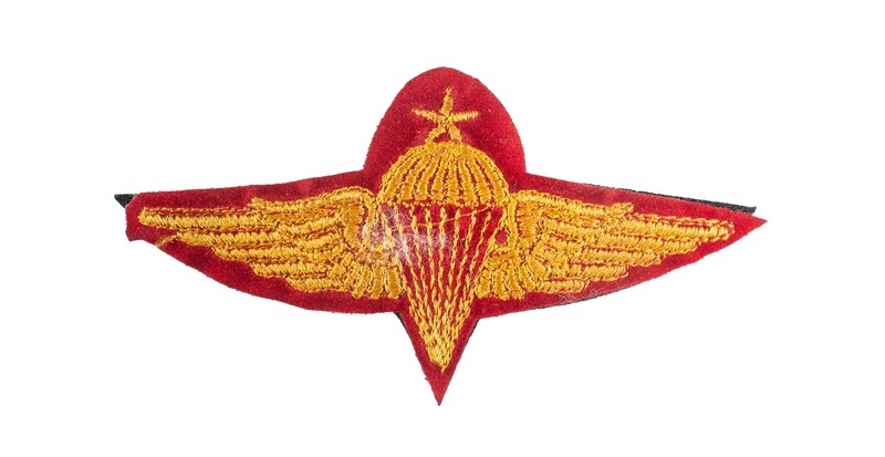 Syrian Senior Paratrooper Instructor Wings