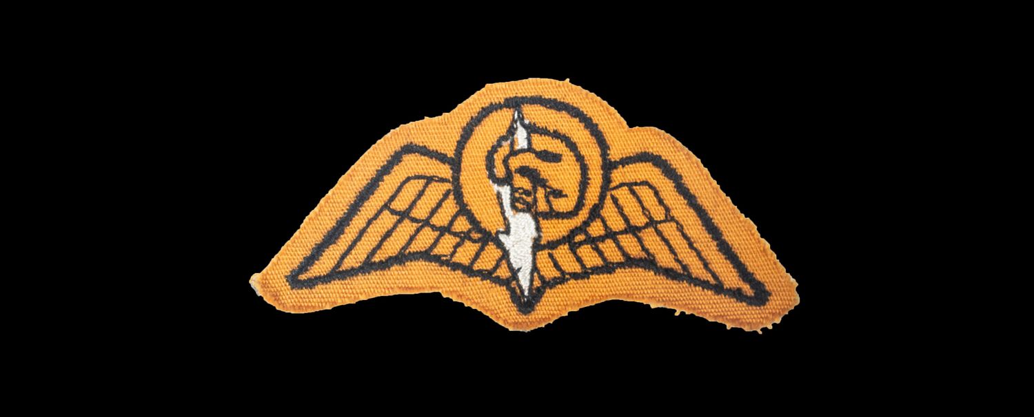 South African Railways Police Special Task Force Parachute Wings (2nd issue)