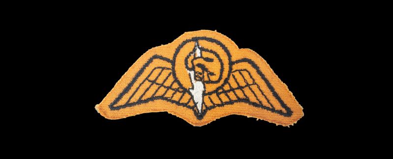 South African Railways Police Special Task Force Parachute Wings (2nd issue)